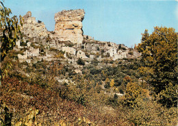 48 GORGES DU TARN HAMEAU DE PEYRELADE - Gorges Du Tarn