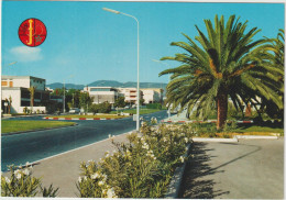 LD61 :Maroc : AGADIR : Vue - Agadir