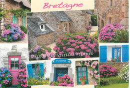 BRETAGNE FLEURS ET VIEILLES PIERRES - Bretagne