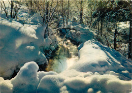 73 L'HIVER DANS NOS MONTAGNES - Autres & Non Classés