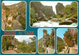 48 GORGES DU TARN MULTIVUES - Gorges Du Tarn