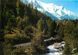 74 ROUTE DE CHAMONIX A ARGENTIERES - Andere & Zonder Classificatie