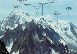 74 VALLEE DE CHAMONIX ARGENTIERE  - Andere & Zonder Classificatie