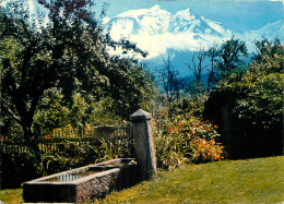 74 MASSIF DU MONT BLANC FONTAINE - Andere & Zonder Classificatie