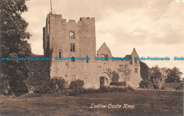 R157360 Ludlow Castle Keep. Valentine - Mundo