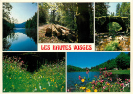 88 LES HAUTES VOSGES MULTIVUES - Autres & Non Classés