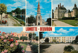 41 LAMOTTE BEUVRON  - Lamotte Beuvron