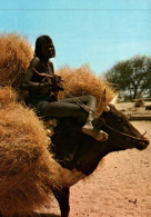 CPM - TCHAD - Boeuf Porteur (jeune Femme) - Edition Lib.Al-Akhbaar - Tchad
