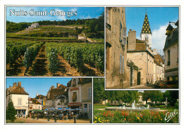 21 NUITS SAINT GORGES MULTIVUES - Other & Unclassified