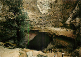 84 FONTAINE DE VAUCLUSE  - Altri & Non Classificati