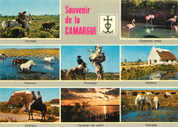 13 CAMARGUE MULTIVUES  - Andere & Zonder Classificatie