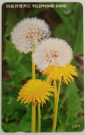 South Korea Kw 2900 - Dandelion ( Letter W ) - Corea Del Sur