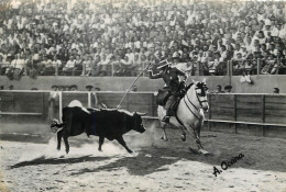 TOROS Y TEREROS CONCHITA CINTRON  - Corridas