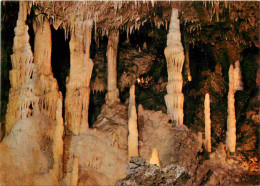 Spéléologie - Grottes De Fontirou - Salle Du Temple Hindou - Potholing - Cave - CPM - Carte Neuve - Voir Scans Recto-Ver - Sonstige & Ohne Zuordnung