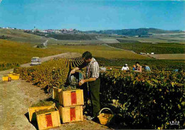 Vignes - Scènes De Vendanges En Champagne - Vendanges - Raisins - Vin - CPM - Voir Scans Recto-Verso - Vines