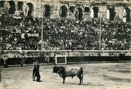 Corrida - Course De Taureaux - Mise à Mort - CPM - Voir Scans Recto-Verso - Stierkampf