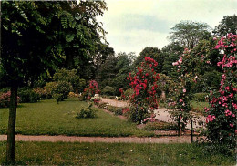 77 - Fontainebleau - Maison De Repos Et De Convalescence Saint-Joseph - Un Coin Du Parc - Fleurs - Carte Neuve - CPM - V - Fontainebleau