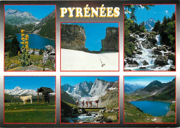 65 - Hautes Pyrénées - Multivues - CPM - Voir Scans Recto-Verso - Autres & Non Classés