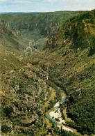 48 - Les Gorges Du Tarn - Vue Panoramique Prise Du Point Sublime Sur Le Cirque Des Baumes Et La Vallée Du Tarn - Au Fond - Gorges Du Tarn