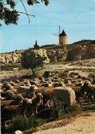 Animaux - Moutons - Provence - Au Moulin De A. Daudet - CPM - Voir Scans Recto-Verso - Other & Unclassified