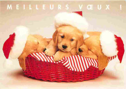 Animaux - Chiens - CPM - Voir Scans Recto-Verso - Dogs