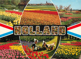 Pays-Bas - Nederland - Holland In Bloementooi - La Hollande En Parure De Fleurs - Multivues - CPM - Voir Scans Recto-Ver - Weert