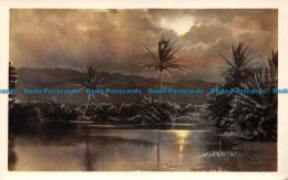 R157903 Old Postcard. Lake And Palms - World