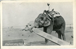 Burma Elephant Piling Teak Tuck's - Myanmar (Burma)