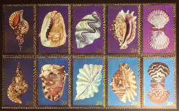 Palau 1984 Shells MNH - Conchiglie