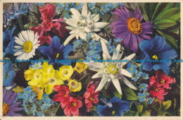 R157915 Alpenblumen. Fleurs Des Alpes. Gyger. No 1318 - Monde