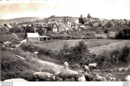 RARE  12 SAINT CYPRIEN SUR DOURDON VUE GENERALE DU DUZOU CPSM - Autres & Non Classés