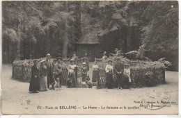 61 Forêt De BELLEME - La Herse - La Fontaine Et Le Pavillon - Otros & Sin Clasificación