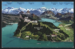 AK Vitznau, Panorama Mit Bürgenstock Und Beckenried, Bergpanorama Mit Tödi, Ruchen Und Scheerhorn  - Vitznau