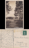 Ansichtskarte Königsfeld Im Schwarzwald Königsfeld Im Schwarzwald 1928 - Other & Unclassified