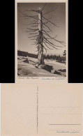 Ansichtskarte Schierke Alter Harzrecke 1929  - Altri & Non Classificati