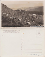 Ansichtskarte Feldberg (Schwarzwald) Baldenweger Hütte 1950 - Feldberg