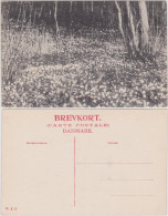 Ansichtskarte  Wiese Im Wald (Dänemark) 1918  - Zu Identifizieren