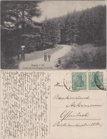Ansichtskarte Hagen (Westfalen) Partie Aus Dem Hagener Stadtwald 1912 - Hagen