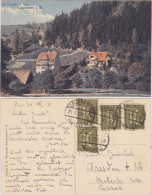 Lauenstein (Erzgebirge)-Altenberg (Erzgebirge) Blick Auf Die Villen 1921  - Lauenstein