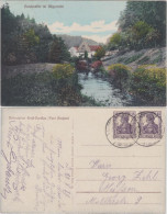Ansichtskarte Rennersdorf-Neudörfel-Stolpen Buschmühle Im Wesenitztal 1920  - Stolpen
