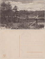 Cartoline Sarnunich Sarnonico Oetztaler-Ferner Vom Penegal Aus 1914 - Other & Unclassified