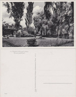 Ansichtskarte Kurl-Dortmund St. Elisabeth Krankenhaus 1940  - Dortmund