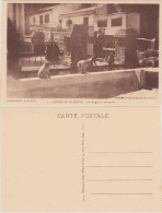 Postcard Chiffa Les Singes à L'Abreuvoir 1922 - Blida