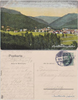 Ansichtskarte Tabarz/Thüringer Wald Blick Auf Die Stadt 1906  - Tabarz