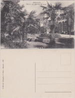 Meran Merano Palme Nei Giardini Di Cura/Partie An Der Kurpromenade 1918  - Other & Unclassified