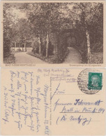 Ansichtskarte Bad Mergentheim Rosengang Im Kurgarten 1928 - Bad Mergentheim