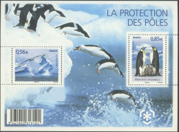 ARCTIC-ANTARCTIC, FRANCE 2009 PRESERVATION OF POLAR REGIONS S/S OF 2** - Preserve The Polar Regions And Glaciers