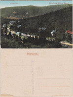 Oberbärenburg-Altenberg (Erzgebirge) Schäfermühle Und Bärenburg Panorama 1922 - Altenberg