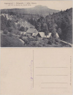 Ansichtskarte Krippen-Bad Schandau Rölligmühle Krippengrund 1922 - Bad Schandau