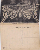 Rouen Le Papillon Du Jardin Des Plantes Seine-Maritime  1919 - Andere & Zonder Classificatie